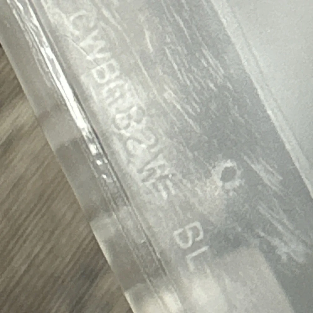 Coach size clear slides